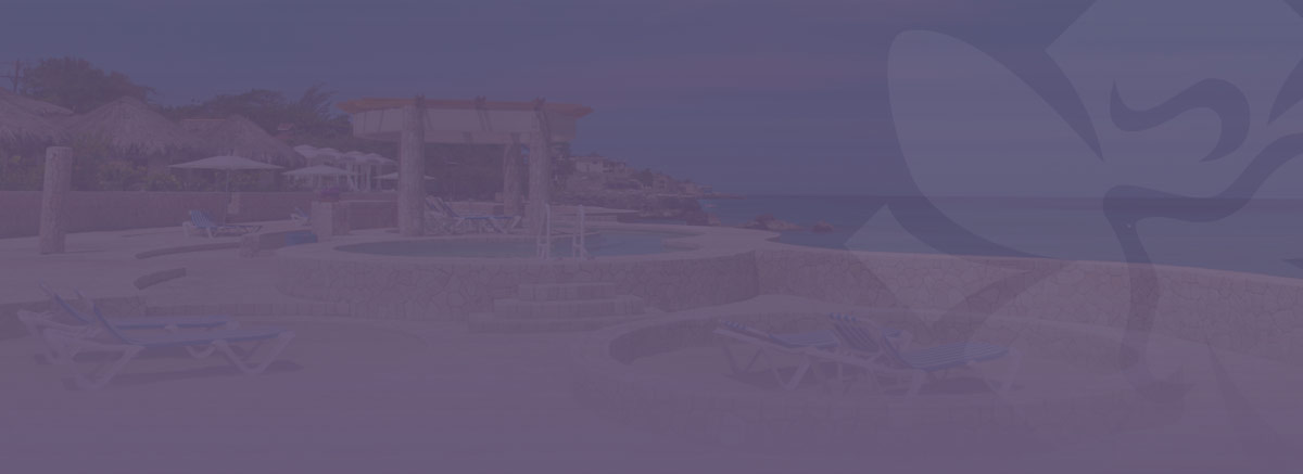 ENJOY BREATH TAKING VIEWS AND PACKAGES OF OUR HOTEL